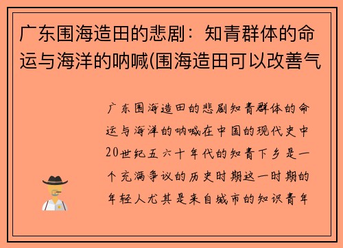 广东围海造田的悲剧：知青群体的命运与海洋的呐喊(围海造田可以改善气候吗)